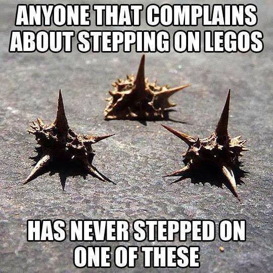Anyone that complains about stepping on Legos, has never stepped on one of these (goat head stickers)!